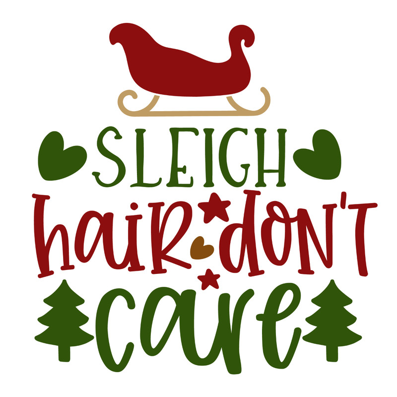 SLEIGH HAIR DON'T-01.jpg