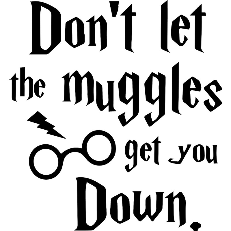 16. Don_t let the muggles.jpg