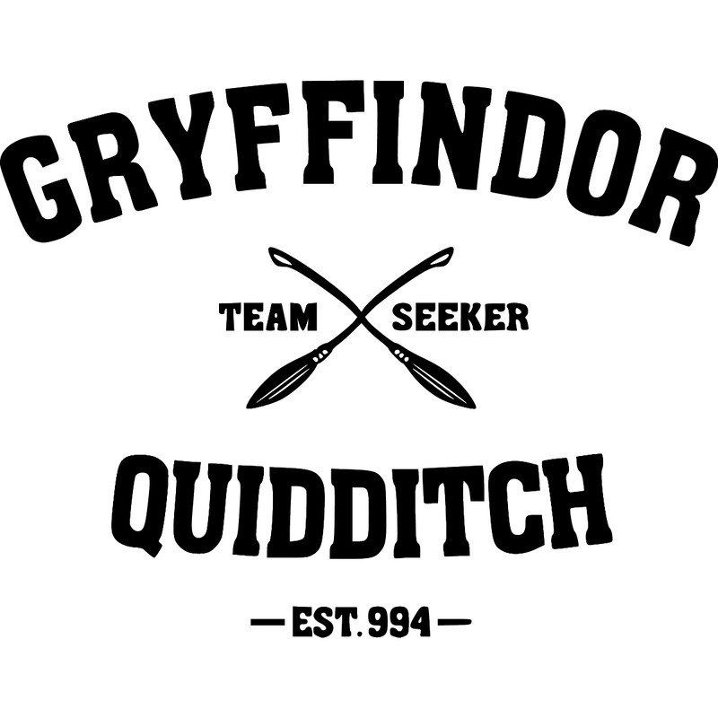 38.gryffindor quidditch.jpg