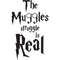 The Muggle struggle is real.jpg
