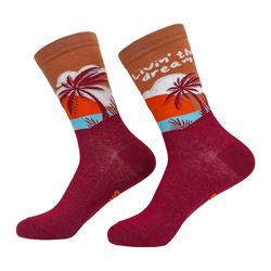 livin' the dream, ocean socks, beach socks, cute