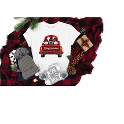 cute gnomes in back of truck shirt,christmas gnomes t shirt,women christmas gift, trendy christmas gnomes shirt, women c