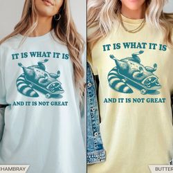 it is what it is and it is not great shirt, raccoon shirt, mental health shirt, y2k t-shirt