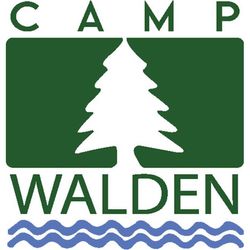 camp walden sweatshirt, parent trap shirt, classic movie