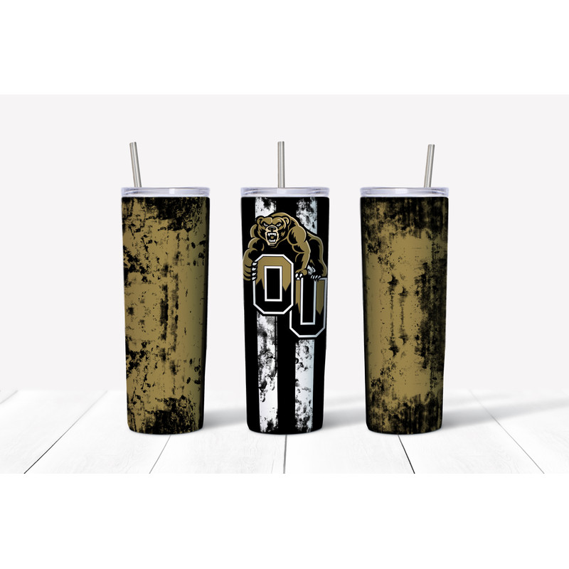 Oakland University Mockup.jpg