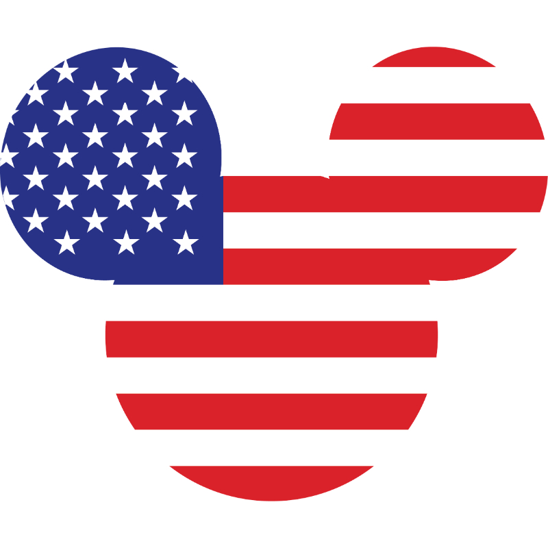 mickey flag.jpg