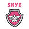 Paw Patrol Skye shield PNG-01.jpg