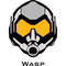 Wasp.jpg