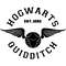 8.Hogwarts quiddtitch.jpg