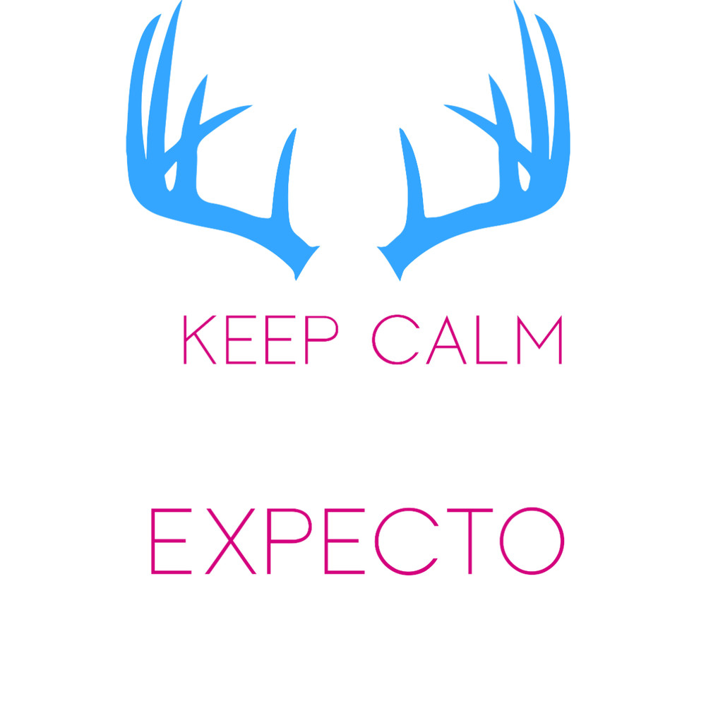 35. Keep calm and expecto patronum.jpg