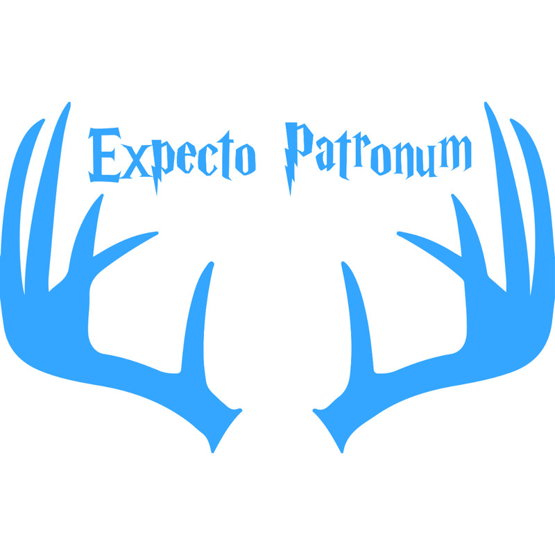 36.Expecto patronum.jpg