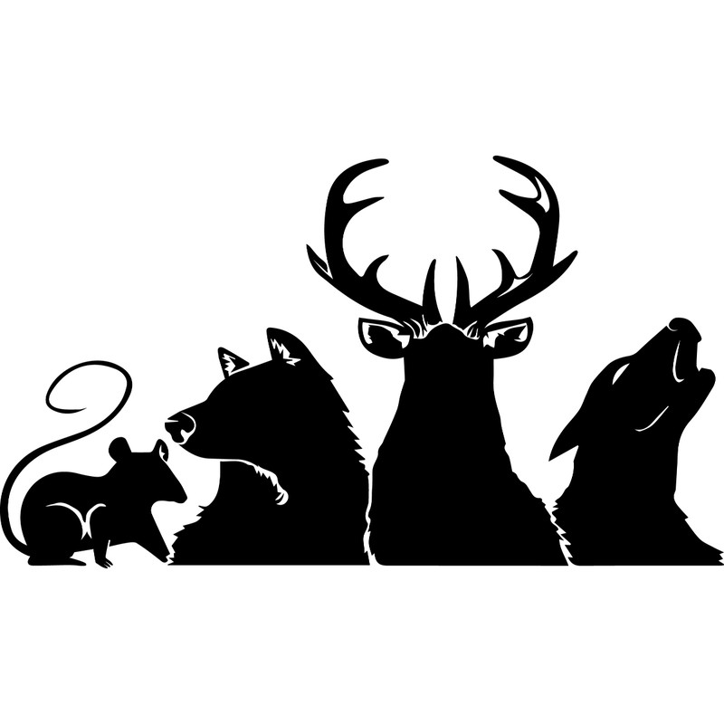 27_ Animals.jpg