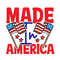 Made In America-01.jpg