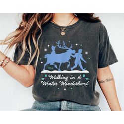walking in a winter wonderland shirt, frozen t-shirt, olaf, sven and kristoff tee, disney family vacation, disneyland tr