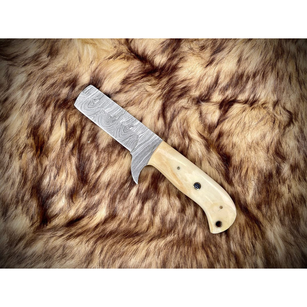 WhatsApp Image 2023-12-19 at 3.55.23 PM(1).jpeg