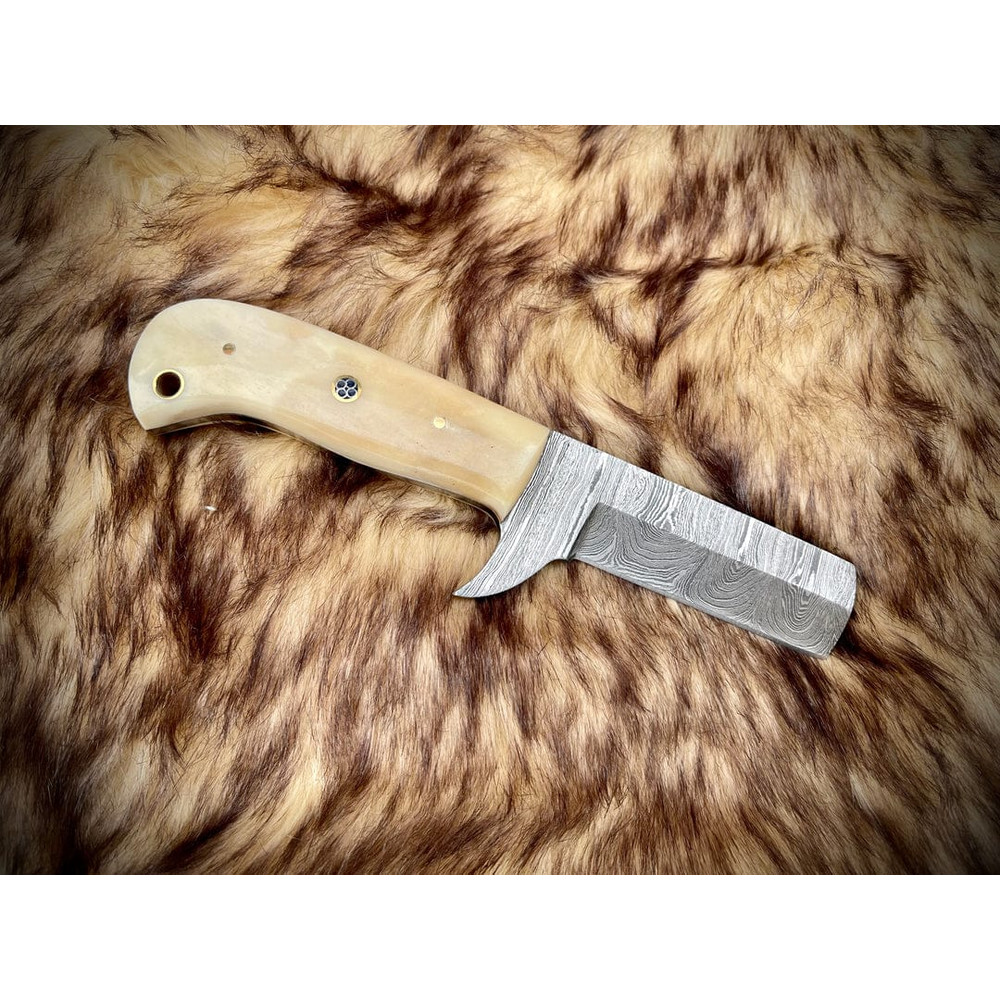 WhatsApp Image 2023-12-19 at 3.55.24 PM.jpeg