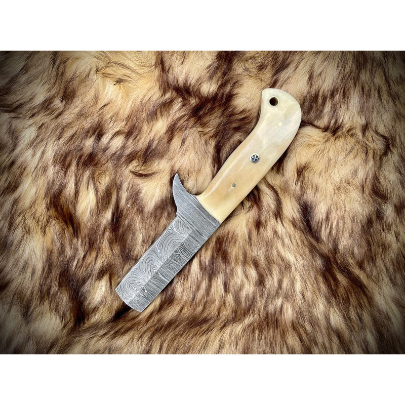 WhatsApp Image 2023-12-19 at 3.55.23 PM.jpeg