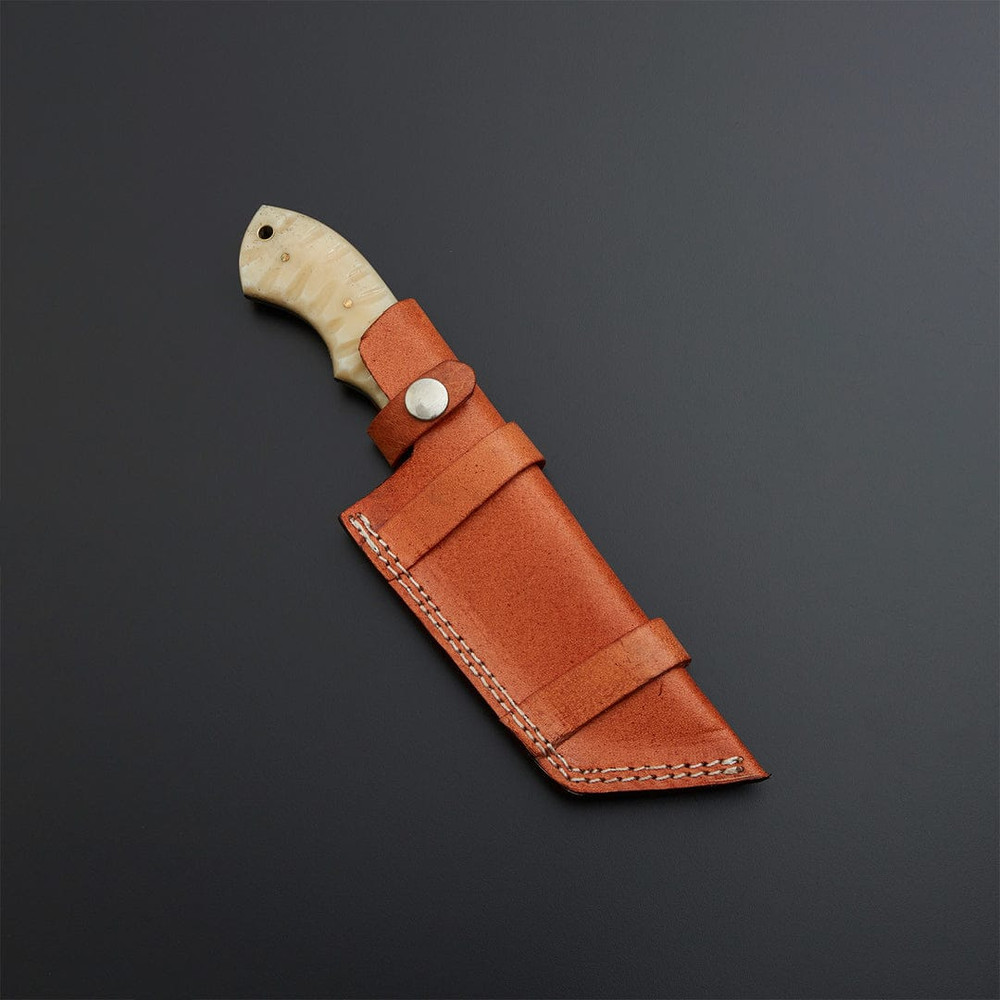 WhatsApp Image 2023-12-19 at 1.42.10 PM.jpeg