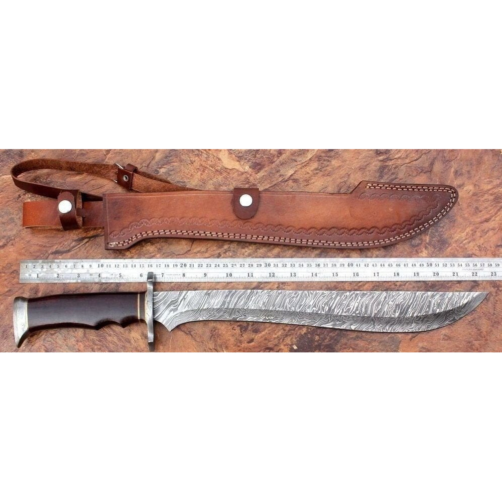 WhatsApp Image 2024-01-02 at 9.21.17 AM.jpeg