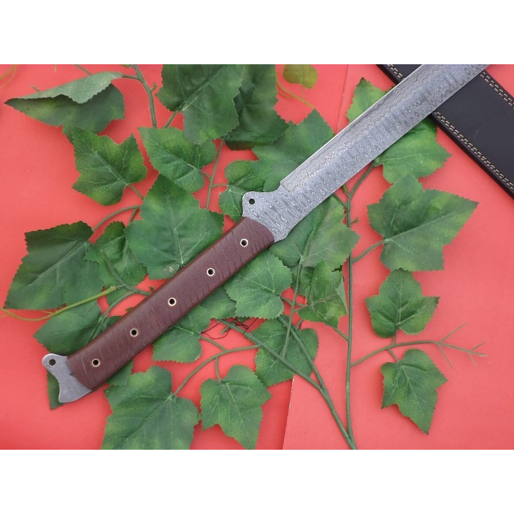 WhatsApp Image 2024-01-02 at 9.22.52 AM.jpeg