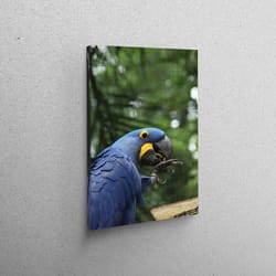 canvas home decor, wall decor, wall art canvas, contemporary art, animal wild canvas poster, nature art canvas, parrot c