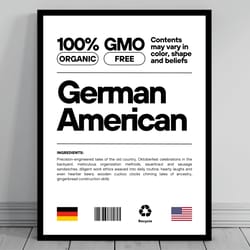 german american unity flag canvas mid century modern american melting pot rustic charming german humor us patriotic