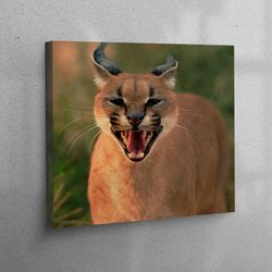 3d wall art, canvas gift, wall art canvas, wild caracal canvas print, wild cat poster, big cat wall decor, wild animal c