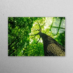 glass printing, tempered glass, glass art, big tree wall decoration, green glass wall art, landscape glass wall, old tre
