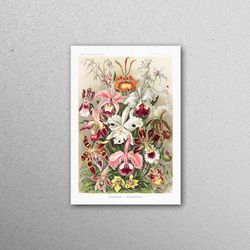 glass wall art, wall decoration, wall decor, ernst haeckel, ernst haeckel glass wall, reproduction glass decor, famous g