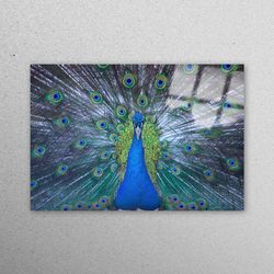 glass wall decor, glass, glass printing, peacock, luxury glass, peafowl wall decor, modern wall decor, blue glass,