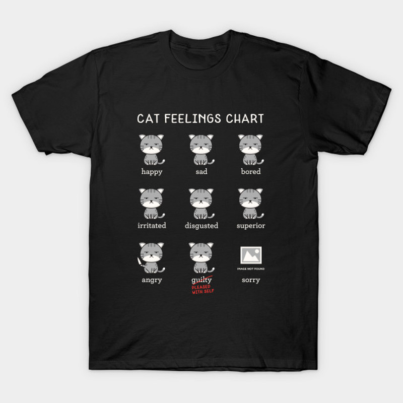 Cat Feelings Chart.jpg