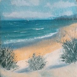 beach with vegetation