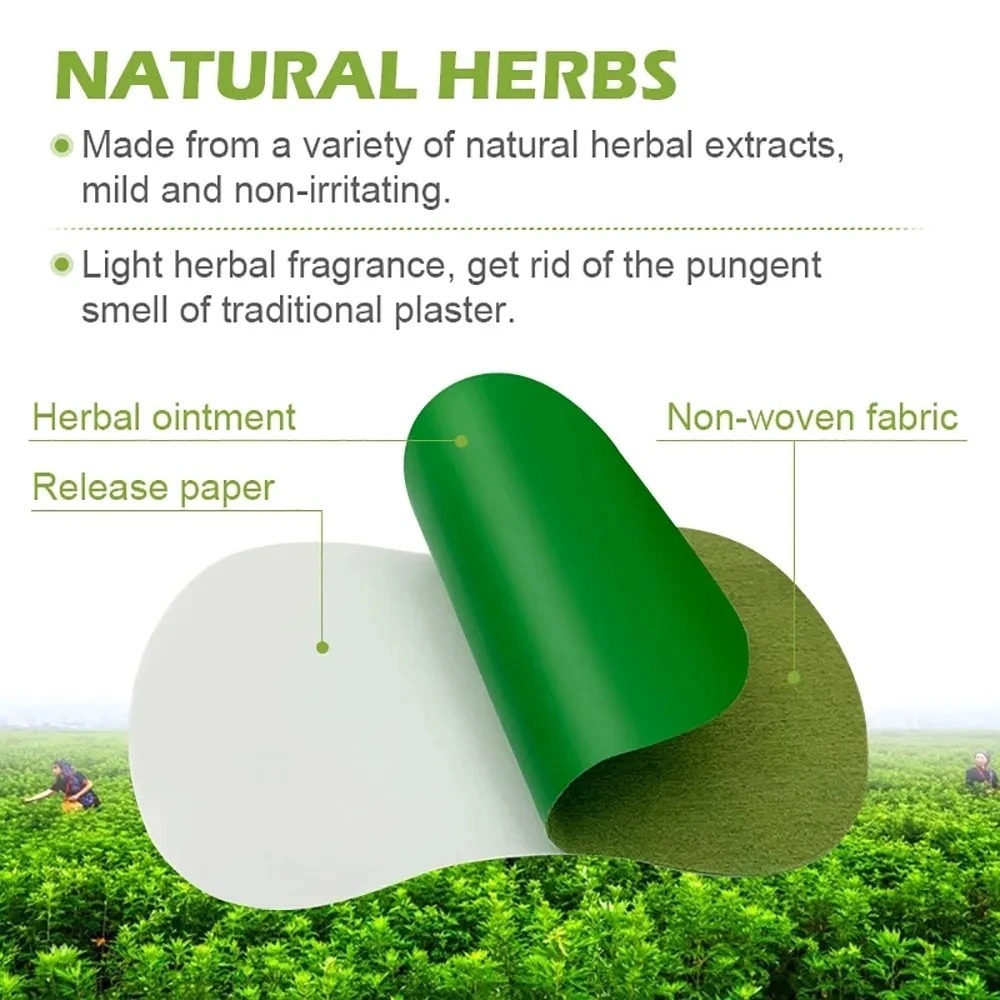 Detox Foot Care Patch 12Pcs Natural Herbal Wormwood Weight Loss Relaxation Stress Relief Deep Clean 1