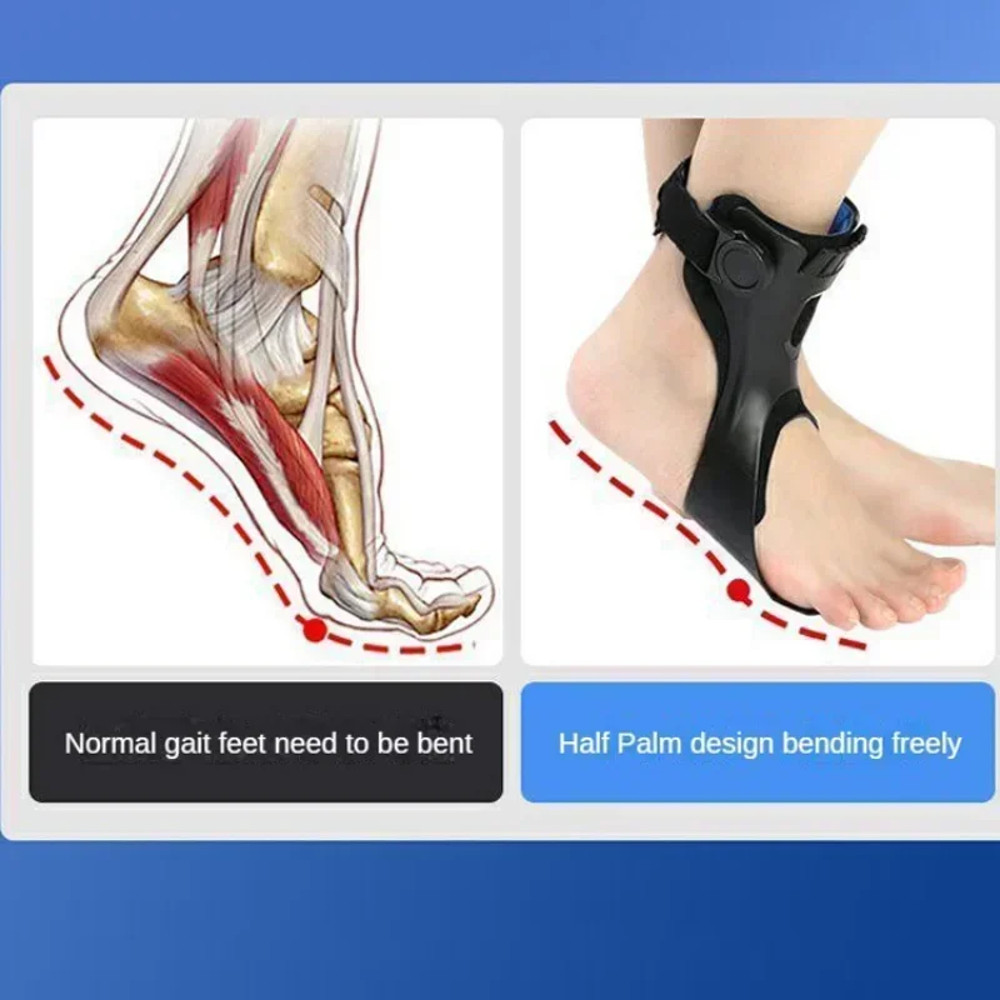 Adjustable Drop Foot Brace Ankle Support With Buckle Comfort Aid For Stroke Hemiplegia Walking Fits