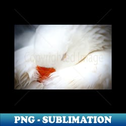 white goose - sublimation-ready png file