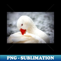 white goose - trendy sublimation digital download