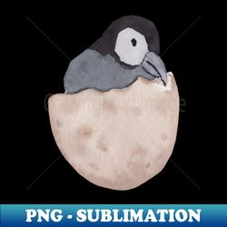 Baby Penguin Hatchling - Stylish Sublimation Digital Download - Perfect for Personalization