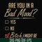 FN000468-Are you in a bad mood yes no Bitch I might be svg, png, dxf, eps file FN000468.jpg