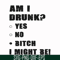 FN000482-Am I drunk yes no bitch I might be svg, png, dxf, eps file FN000482.jpg