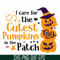 HLW0105-i care for the cutest pumpkins in the patch svg, png, dxf, eps digital file HLW0105.jpg