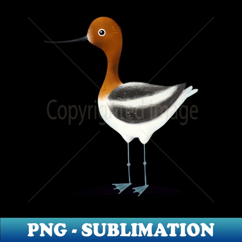 Avocet Bird - High-Resolution PNG Sublimation File