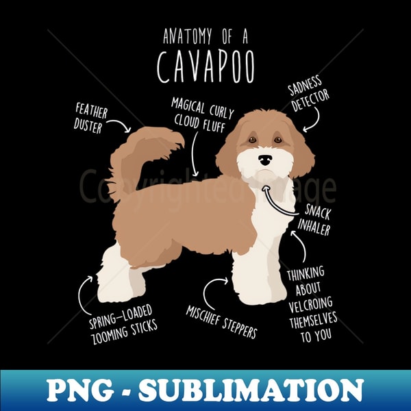 Parti Cavapoo Dog Anatomy - Premium Sublimation Digital Down | Inspire ...