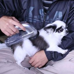 Portable Pet Hair Vacuum - Conquer Pet Hair in 5 Seconds Flat - Excessive Fur May Cause Cuteness Overload