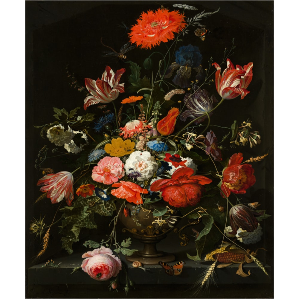 Funny aya takano .png