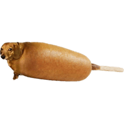 corn dog