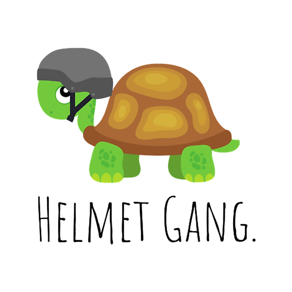 Helmet Gang Turtle .png