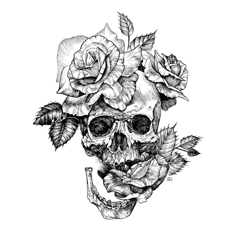 Skull And Roses .png