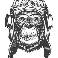 vintage pilot serious gorilla helmet monochrome style