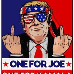 lets go brandon - fjb meaning