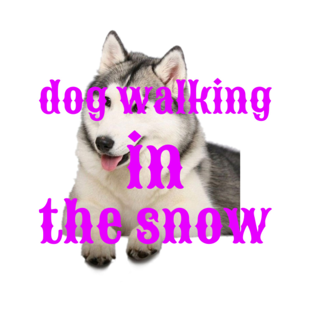 dog walking in the snowby ZENAMAY4.png